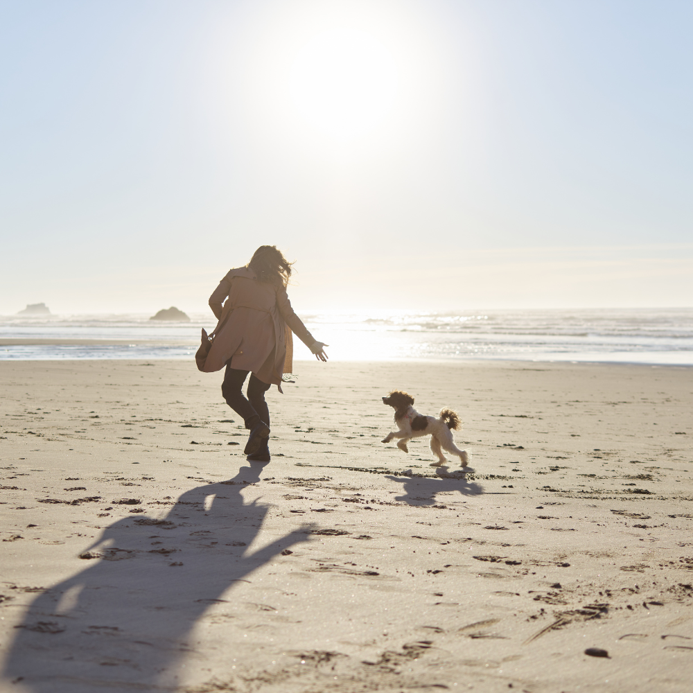 Persona y perro corriendo por la playa