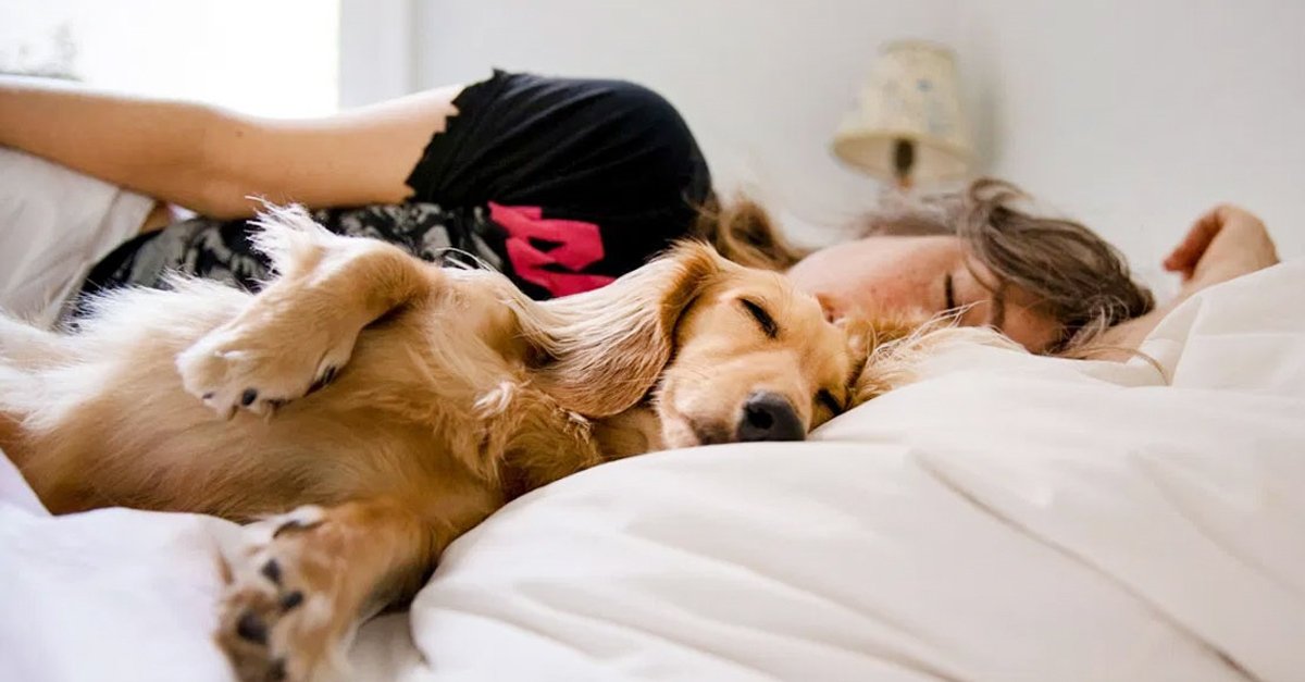 Persona durmiendo con su perrito