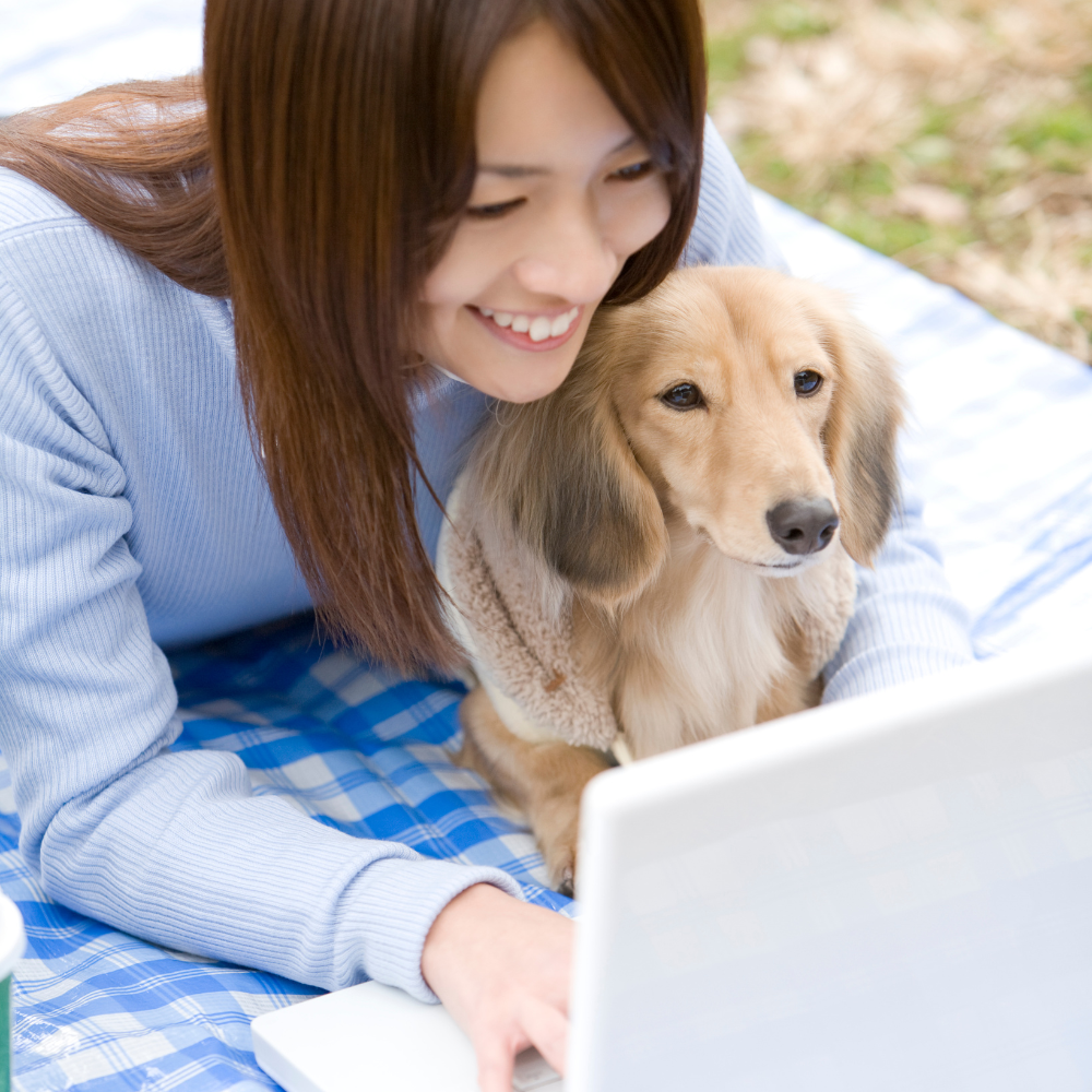 Perrito y persona con portátil